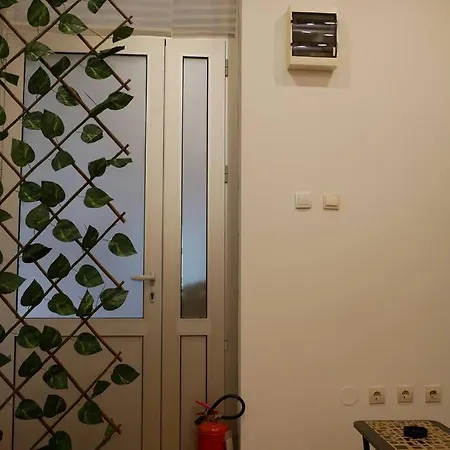 Cozy Place Belgrado Esterno foto