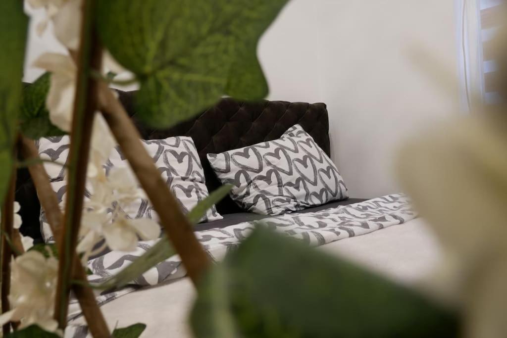 Διαμέρισμα Cozy Place Βελιγράδι