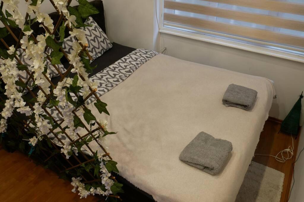 Cozy Place * Βελιγράδι