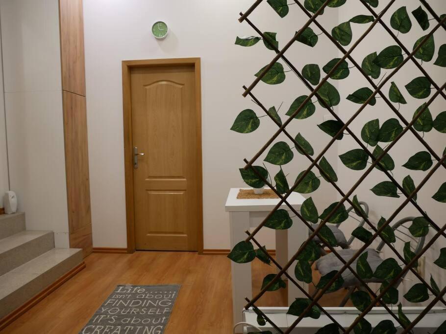 Apartment Cozy Place