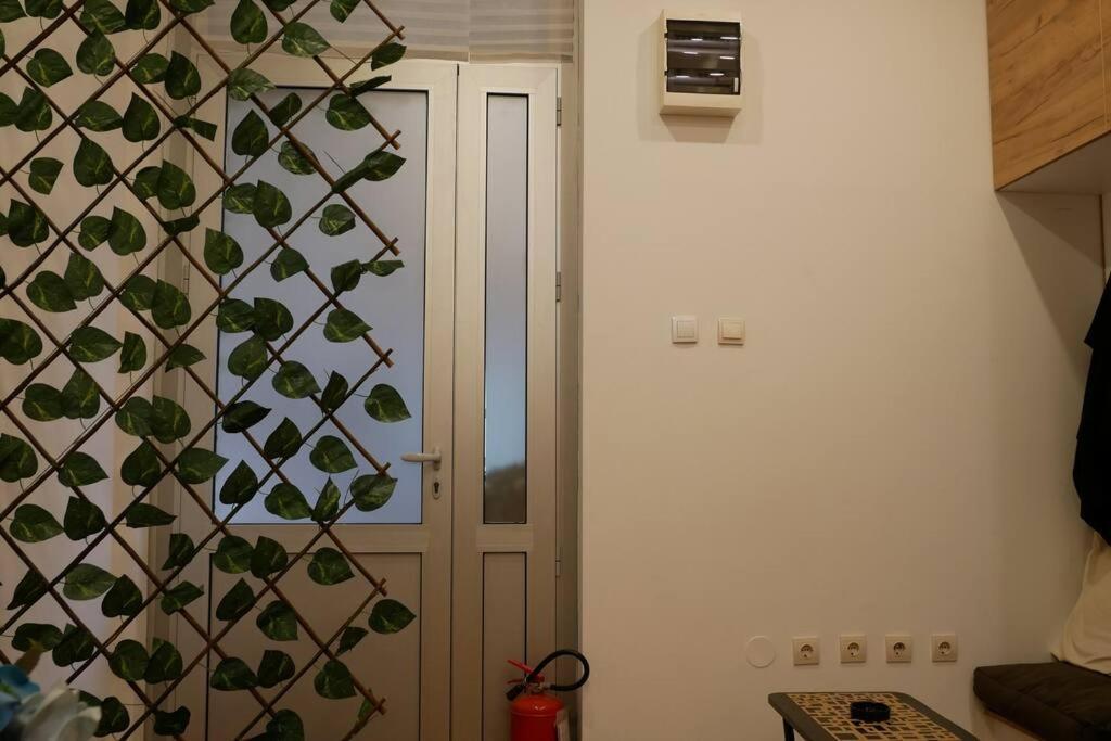 Cozy Place * Βελιγράδι